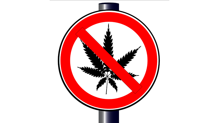 Mono County, Calif., Extends Cannabis License Moratorium